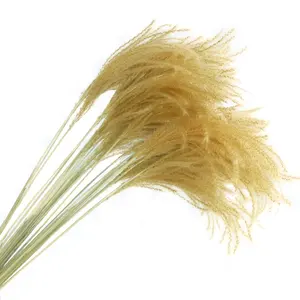 Hot Selling Natural Dried Golden Grass Wholesale Decorative Flower Bouquet for Decors Crafts Wreath Gift