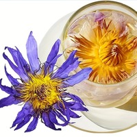 Lotus bleu promotionnel fleurs séchées nénuphar égyptien fleurs séchées décoration de la maison cadeaux