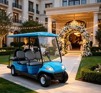Carrito de Golf A617.4+2 de 6 Plazas, para Casa de Vacaciones junto al Lago, Transporta Artículos para Exteriores