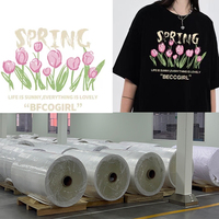 Film de transfert thermique PET 30/60cm, méthode de décollement à froid DTF pour impression haute température, vinyle thermique pour sublimation sur tissu en coton