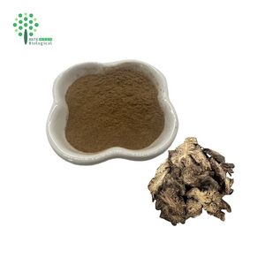 Đen cohosh chiết xuất từ rễ 2.5% triterpene saponin cimicifuga racemosa chiết xuất bột - Product Image 4