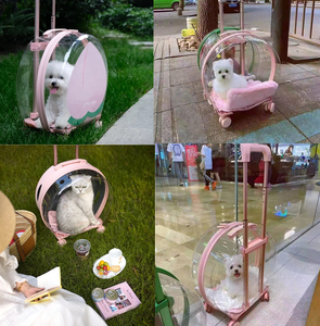 Transportadora de Mascotas <span class=keywords><strong>Transparente</strong></span> Personalizada al por Mayor, <span class=keywords><strong>Maleta</strong></span> con Ruedas para Viajes al Aire Libre para Perros y Gatos, Carrito para Mascotas, Cochecito para Gatos - Product Image 6