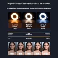 Lampu Selfie Magnetik M28 3W 800mAh Isi Ulang, Ring Light Saku 3-Adjustable dengan Cermin Terintegrasi, Lampu Pengisi Daya Ponsel Lipat