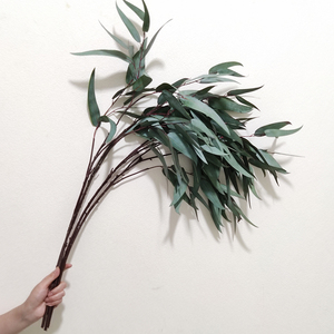 Plante verte simulée feuilles <span class=keywords><strong>d</strong></span>'eucalyptus Spray mariage <span class=keywords><strong>d</strong></span>écoration de la maison Faux feuilles Latex Real Touch feuilles <span class=keywords><strong>d</strong></span>'eucalyptus artificielles - Product Image 3