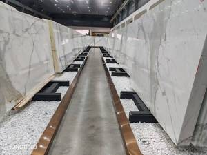 Moderne gepolijste marmeren visbuik gouden hotelvilla decoratie - Product Image 5