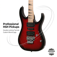 Swift Horse SH9R-M Electric Guitar H-H Pickup Basswood Flame Maple Top Professional Guitar for OEM ODM Custom Logo