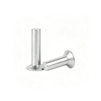Rivet plat en aluminium à tête fraisée, norme DIN661, multi-spécifications pour fixation de quincaillerie générale GB869