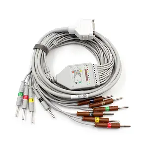 Câble ECG EKG monobloc Plinma de vente chaude Compatible avec Nihon Konden/BIOCARE/Fukuda/Denshi 10 fils IEC EKG Din Style
