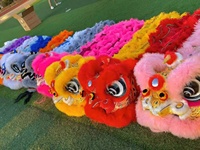 Costume de danse du lion authentique pour adultes et adolescents, en laine de haute qualité, avec lanterne en peluche de dragon, pour spectacle de danse du lion chinoise