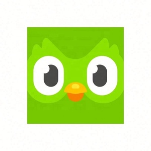 Cuenta Premium Duolingo Pro 1 Año, Activa Tu Propia Cuenta, Aplicable Globalmente en Todo el Mundo - Product Image 3