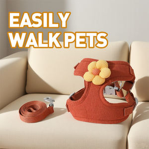 Imbracatura e guinzaglio unico personalizzato Set di imbracature per cani e guinzagli per animali domestici Set accessori per cani - Product Image 2