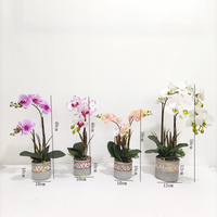 Bunga Sutra Sentuh Asli Pot Set Tanaman Anggrek Sentuhan Asli Terbaru Disesuaikan Anggrek Phalaenopsis untuk Dekorasi Rumah