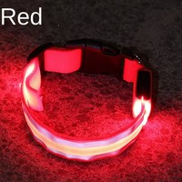 Accessoires pour Animaux Gros Ajustable LED USB Rechargeable Lumineux Nylon Réfléchissant Luxe Chat Chien Collier