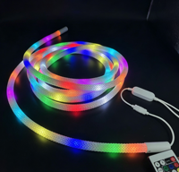 Bande LED RGB intelligente flexible à 360 degrés, ruban lumineux à motif réticulé, lumières néon DC24V, IP65, silicone, dimmable