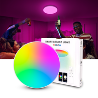 Plafonnier rond intelligent à commande intelligente, style moderne, 20W LED, application TUYA, éclairage intelligent pour cuisines
