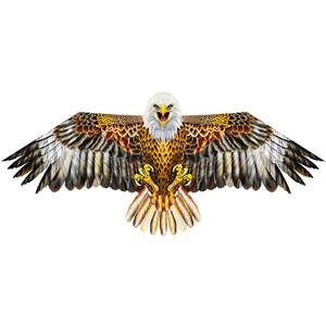 <span class=keywords><strong>Cerf</strong></span>-<span class=keywords><strong>volant</strong></span> <span class=keywords><strong>en</strong></span> gros : Aigle de dessin animé et réaliste, deux styles, pour enfants et adultes - Product Image 1