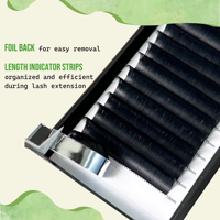 Easy Fanning 12mm Noir Mat Cils Cachemire Individuels Marques Privées Extensions de Cils Volume Naturel Faux Cils Doux