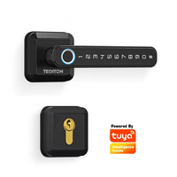 Serrure de porte intelligente Tediton Wifi, téléphone mobile, porte en bois, poignée à capteur d'empreintes digitales à distance, serrures électroniques
