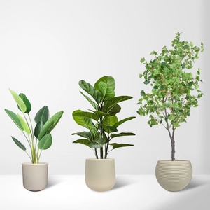 Grands pots de fleurs modernes de grande capacité en plastique épaissi pour intérieur/extérieur Pot de jardin de haute qualité pour le <span class=keywords><strong>jardinage</strong></span> <span class=keywords><strong>à</strong></span> la maison - Product Image 5