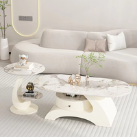 Table basse moderne nordique minimaliste 2025 avec plateau en pierre, structure métallique haut de gamme, écologique et durable, pour salon