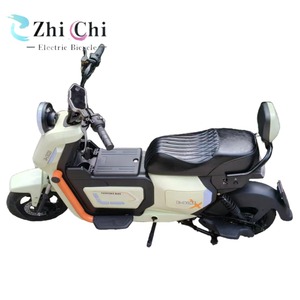 Bicicleta Eléctrica Urbana de Dos Plazas, 500W, 48V, con Pedal, para Ciudad, con Velocidad Máxima, Categoría de Motocicletas Eléctricas - Product Image 2