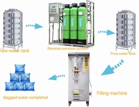 Machine à sachets d'eau potable entièrement automatique complète 100ml 300ml 500ml SJ1000 pour la fabrication de sachets d'eau pure