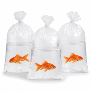 Sacs <span class=keywords><strong>de</strong></span> <span class=keywords><strong>transport</strong></span> extra épais 3 mil pour poissons rouges, résistants aux perforations, sacs en polyéthylène LDPE transparents pour l'expédition <span class=keywords><strong>de</strong></span> grands poissons rouges et <span class=keywords><strong>de</strong></span> carpes koï - Product Image 1