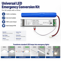 Kit Konversi Darurat dengan Catu Daya Switching dan Driver Output Tunggal untuk Semua Lampu LED Output Lumen 100% Uji Otomatis
