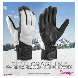 Gants de ski imperméables pour hommes et femmes, gants de ski d'hiver chauds et imperméables, gants de neige isolés et imperméables - Product Image 2