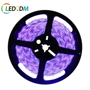 UV LEDストリップライト卸売スマート510メートルSMD 2835 50503528天井フレキシブル24V 12V IP68防水ライトストリップLED