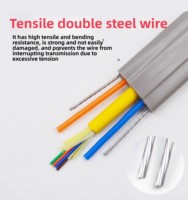 Cable de Fibra Óptica Plano para Elevador OM4 de 4 Núcleos, Cubierta de PVC LSZH, 2 Hilos de Acero Gi, Clasificación IP67, Bajo Voltaje, Cobre Libre de Oxígeno