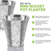 Set 12 Pot Bunga Mini Besi Galvanis, Pot Tanaman Logam Perak Bentuk Kerucut, Pot Tanaman Galvanis Kecil Serbaguna