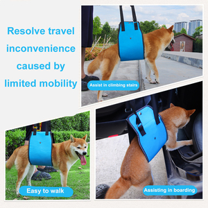 Eco-Friendly Oxford Dog Assistive Belt for <strong>Elderly</strong> Dogs with Leg Injuries-Walking Aid - Product Image 6