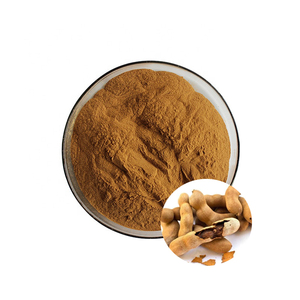 100% tinh khiết tự nhiên cấp thực phẩm hạt Me chiết xuất bột chiết xuất thảo dược trong trống bao bì tamarindus indica chiết xuất - Product Image 1