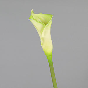 Offre Spéciale blanc vert clair mariage Bouquet Table pièce centrale décorative Calla <span class=keywords><strong>Lilly</strong></span> fleur artificielle plante décor Arrangement - Product Image 2