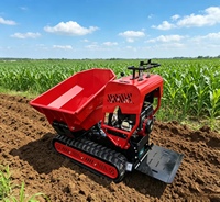 Mini-dumper hydraulique rotatif Archer, chargeur compact multifonctionnel, véhicule de transport, moteur B&S 5000W 12V CE/EPA/Euro 5
