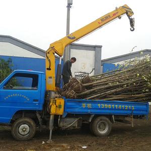 Grúa Pequeña Montada en Camión XCM G SQ3.2SK2Q de 3 Toneladas, Precio Económico en Venta - Product Image 4