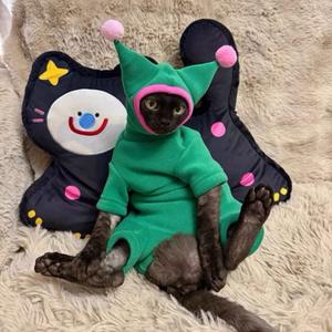 Combinaison pour animaux de compagnie en coton de luxe, mignonne et classique, style allemand bouclé, pour <span class=keywords><strong>chat</strong></span> et chiot, vêtements amusants pour animaux - Product Image 1