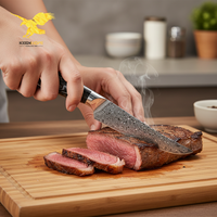 Couteaux de cuisine professionnels en acier Damas KEENHOPE, couteau à steak japonais AUS-10 Core de 4,5 pouces, manche en résine turquoise noire