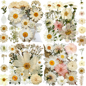 <span class=keywords><strong>Flores</strong></span> Secas para Manualidades, <span class=keywords><strong>Flores</strong></span> Naturales Prensadas para Resina, Arte DIY, Joyería, Fabricación <span class=keywords><strong>de</strong></span> Velas y Jabones - Product Image 1
