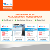 Modules photovoltaïques Trina Solar N-type TOPCon ultra bifaciaux double vitrage anti-poussière 640W 635W 630W pour centrale photovoltaïque BESS