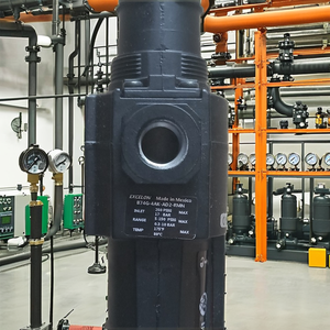 ตัวกรองและตัวควบคุมแรงดันอากาศรุ่น Excelon B74G ซีรีส์ B74G-4AK-AD3-RMN B74G-4AK-AD3-RMG วาล์วโซลินอยด์แบบลูกบอล สำหรับแก๊ส Norgr-en - Product Image 2