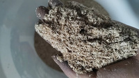 Nouvelle conception, décortiqueuse de maïs, blé et riz, machine à écosser le riz, 7,5 KW, 600 kg/h, 380V, moulin à riz