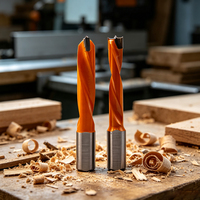 Foret à trépan TELOS à pointe de centrage TCT, queue de 10 mm, carbure de tungstène rectifié CNC de haute qualité pour le traitement des trous aveugles dans le bois