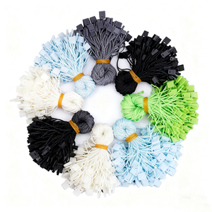 Étiquette en plastique Offre Spéciale de Chine à bas prix avec étiquette volante boucle de corde pour vêtement chaussures sacs vêtements étiquette d'étanchéité - Product Image 3