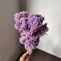 Getrocknete konservierte Blumen für Kunst handwerk Gebleichte Farbe Reisblume für Blumen arrangement Blumenstrauß Hochzeit