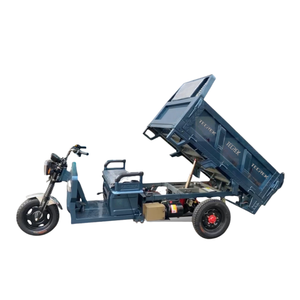 Venta Directa de Fábrica de Triciclos Eléctricos de Alta Calidad - Product Image 3