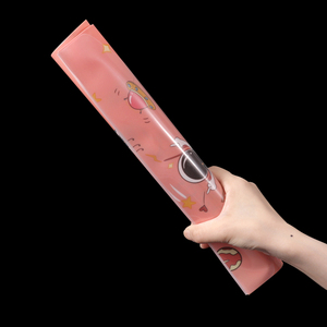 Carpeta Expandible de Plástico Impermeable Foska, Carpeta de Archivos de Polipropileno Duradera, Organizador de Documentos de Papel A4 para la Escuela - Product Image 4