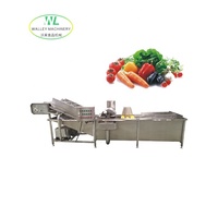 Hotsale QXJ Commerciële Groente- en Fruitwasmachine Industriële Belletjeswasser SUS304 RVS Motor-aangedreven Sojabonen Mais