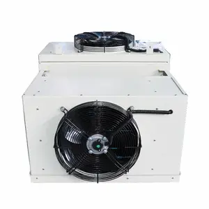 Seiteneinstallation All-in-One-Maschine Verflüssigereinheit für 30 Kubikmeter Kühlraum